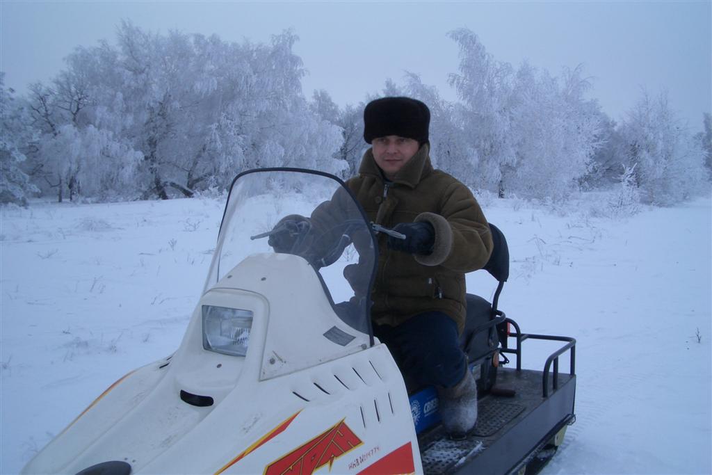 Это Ваулинский лес - Рождество 2008год.